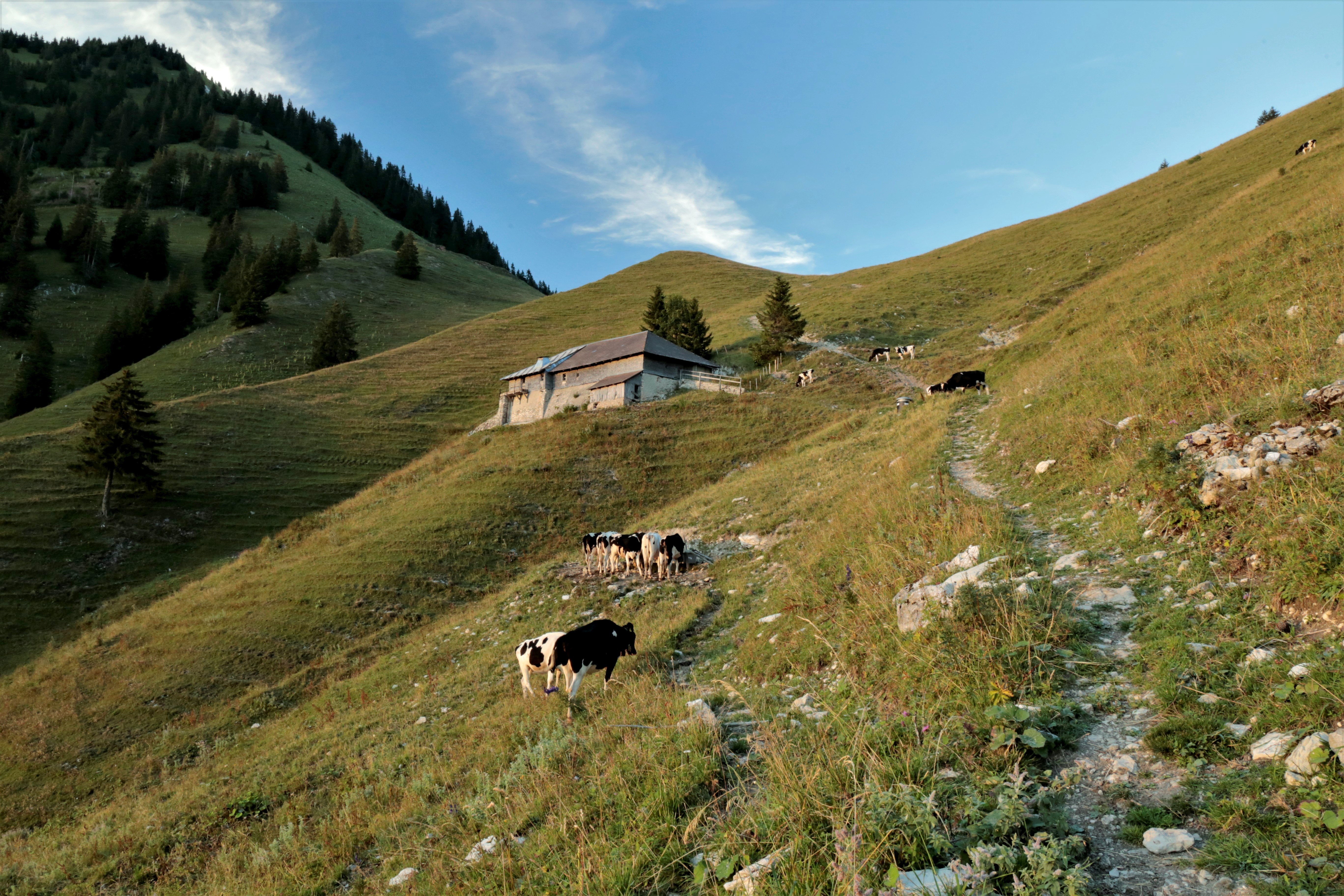 parc naturel régional