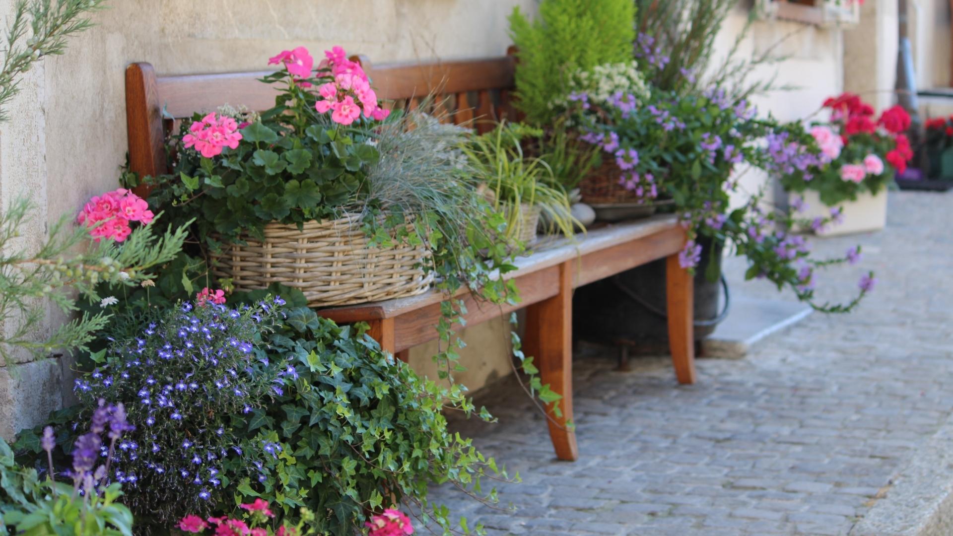 Concours Route des fleurs 2021
